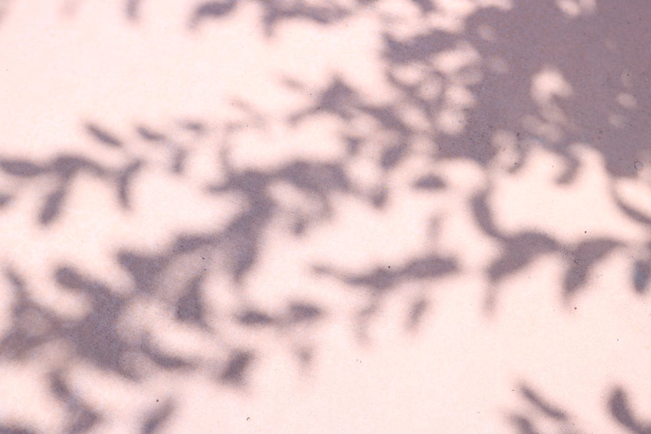 Abstract shadows of foliage on a pastel background create a tranquil and artistic pattern.